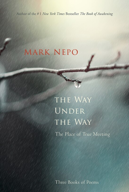 Front cover_The Way Under the Way