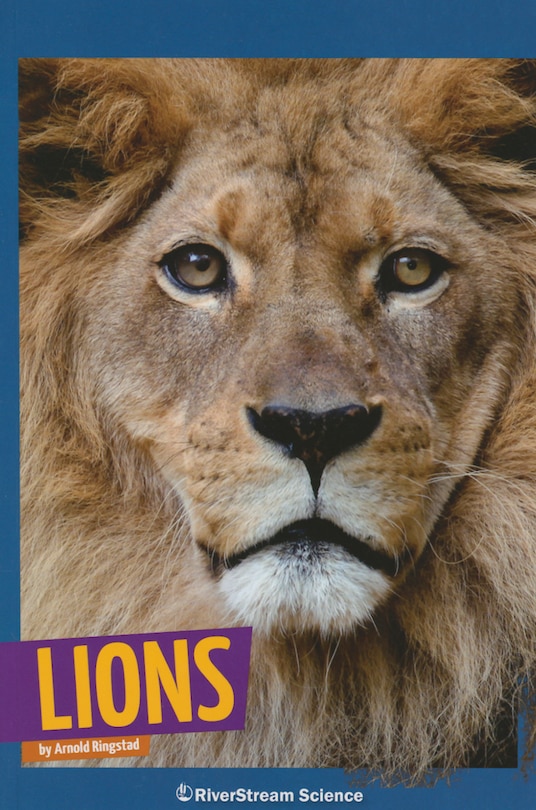 Couverture_Lions