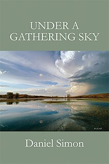 Couverture_Under a Gathering Sky