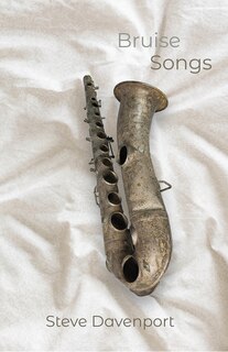 Couverture_Bruise Songs