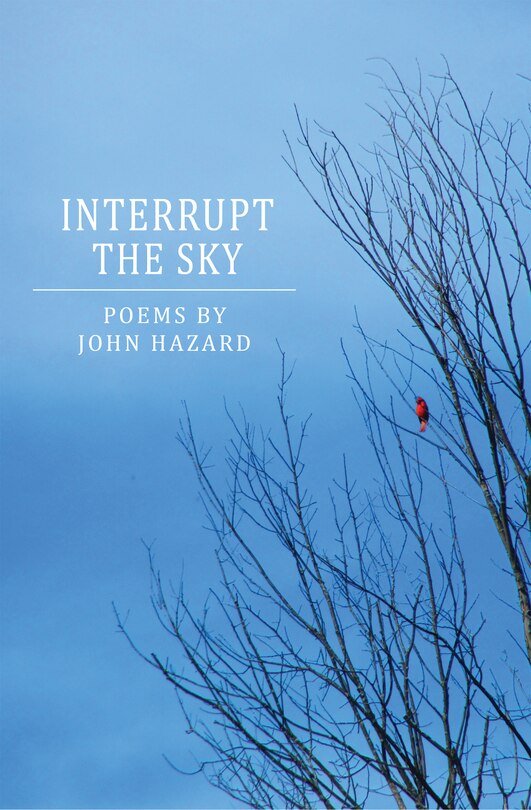 Front cover_Interrupt the Sky