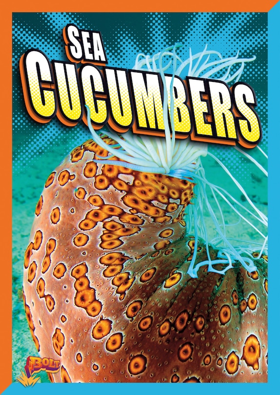 Couverture_Sea Cucumbers