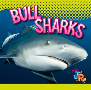 Couverture_Bull Sharks