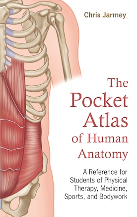 The Pocket Atlas Of Human Anatomy: A Reference For Students Of Physical Therapy, Medicine, Sports, And Bodywork