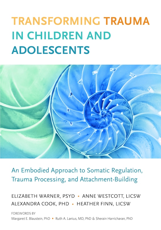 Front cover_Transforming Trauma In Children And Adolescents