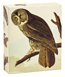 Front cover_Audubon Owls