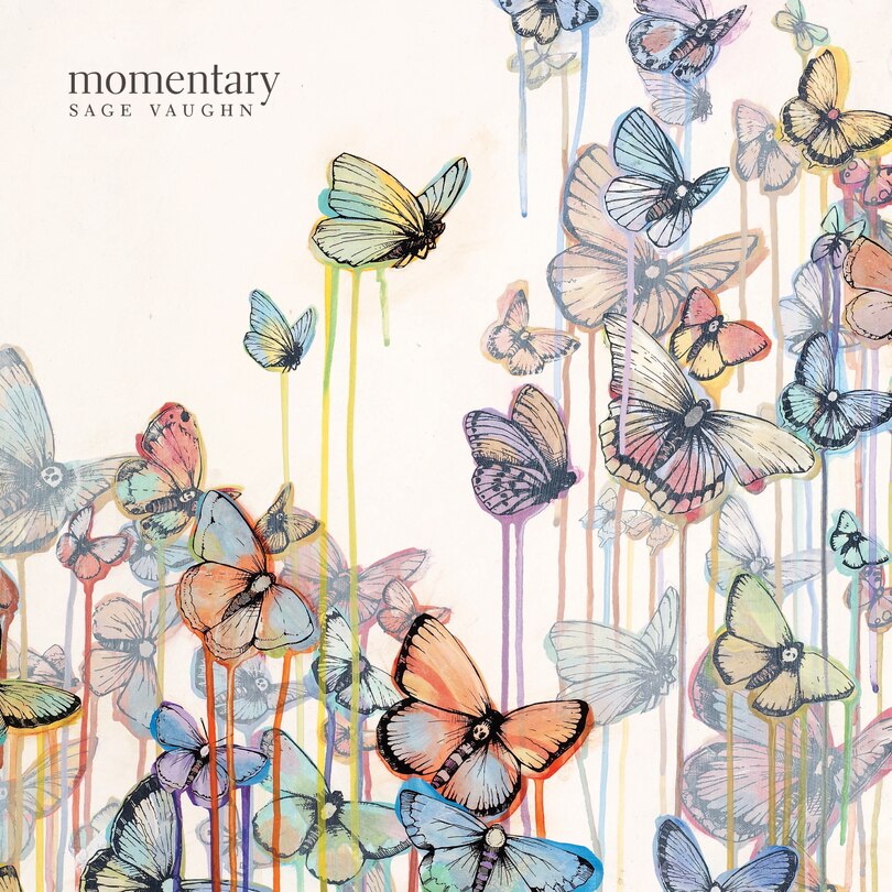 Couverture_Momentary