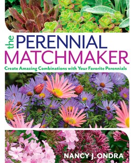 Couverture_The Perennial Matchmaker