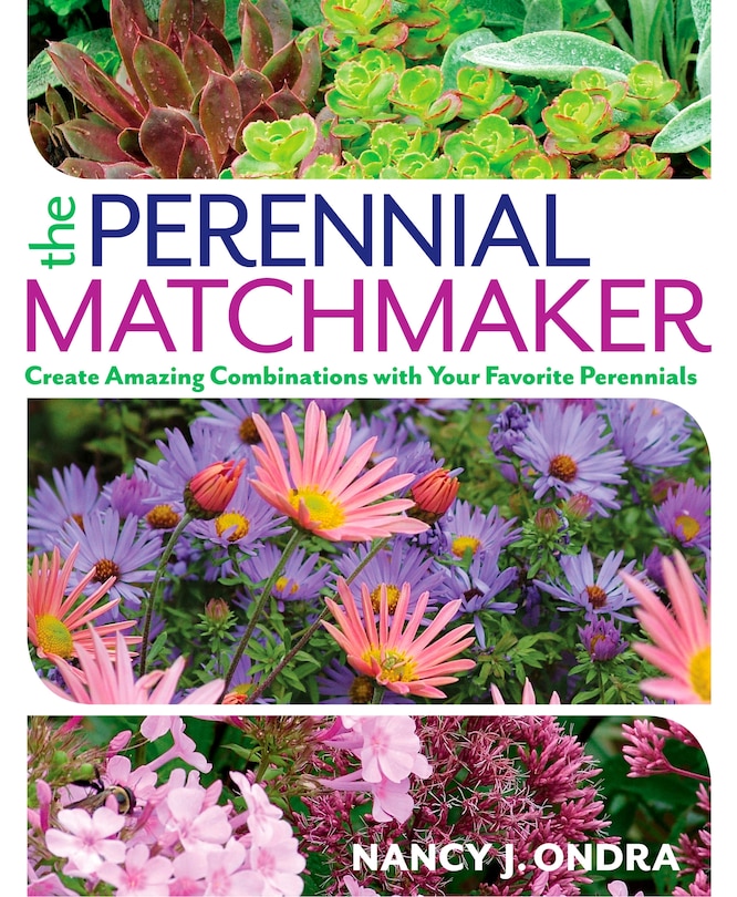 Couverture_The Perennial Matchmaker