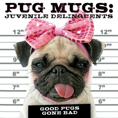 Pug Mugs: Juvenile Delinquents