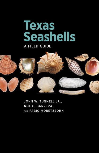 Couverture_Texas Seashells