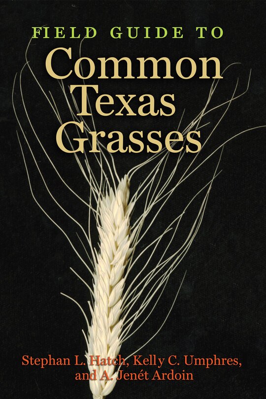 Front cover_Field Guide to Common Texas Grasses