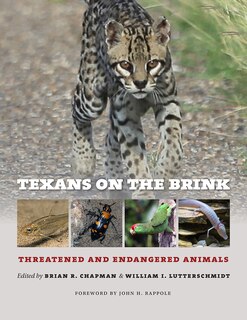 Front cover_Texans on the Brink