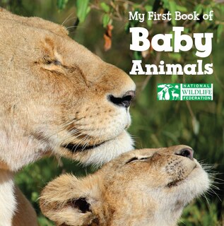 Couverture_My First Book of Baby Animals (National Wildlife Federation)