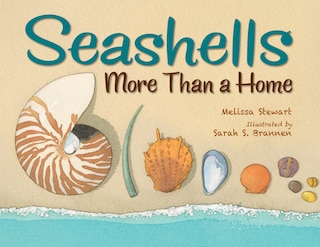 Seashells: More Than A Home