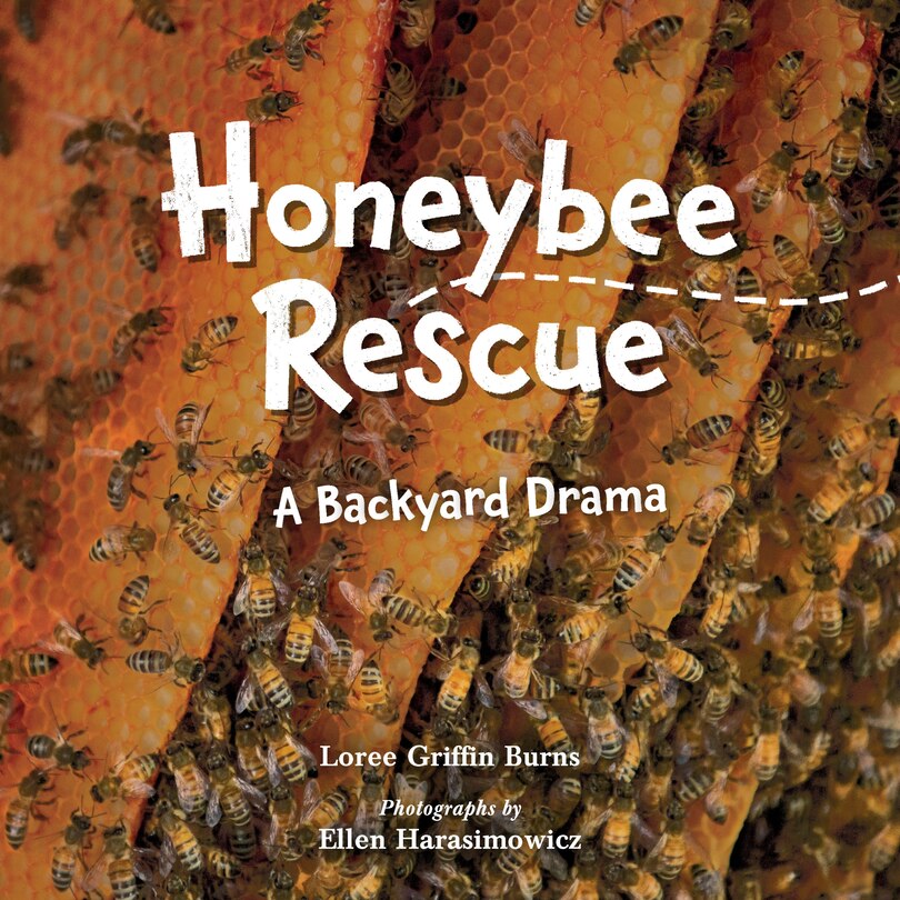 Front cover_Honeybee Rescue