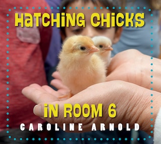 Front cover_Hatching Chicks in Room 6