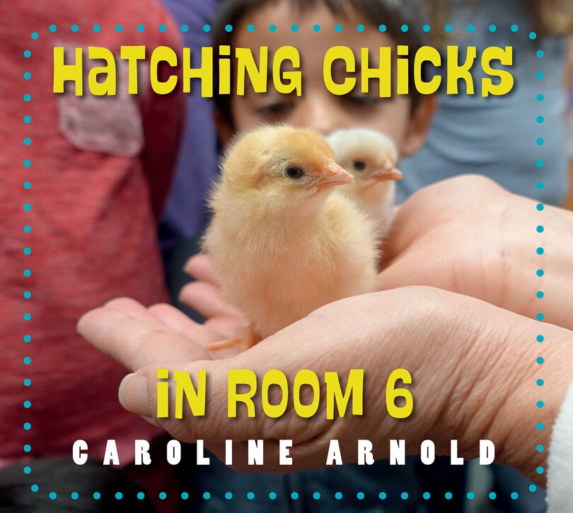 Front cover_Hatching Chicks in Room 6
