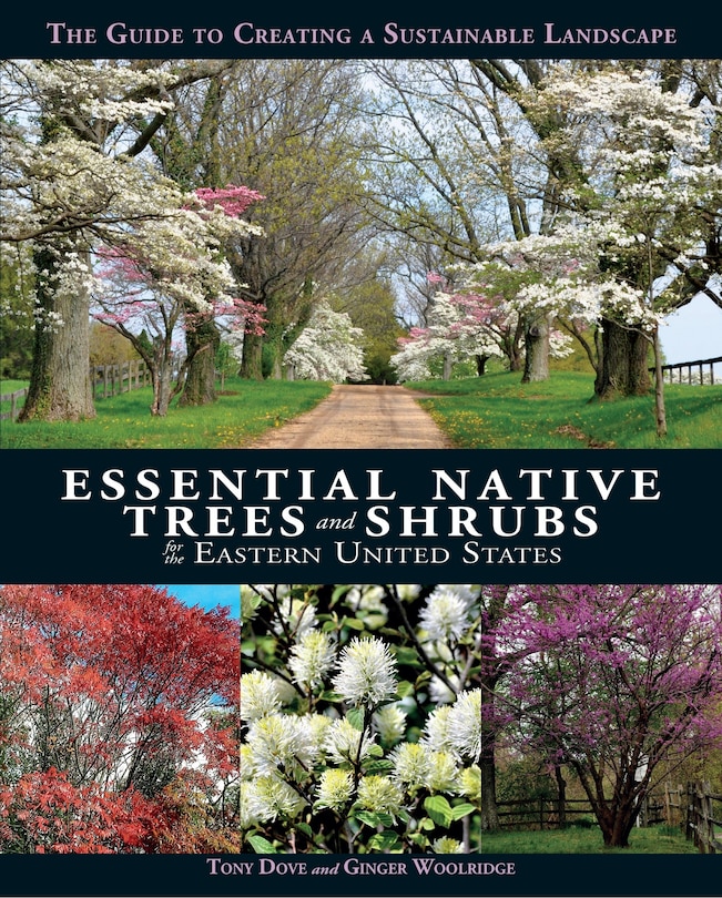 Front cover_Essential Native Trees And Shrubs For The Eastern United States