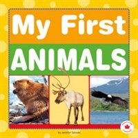 My First Animals