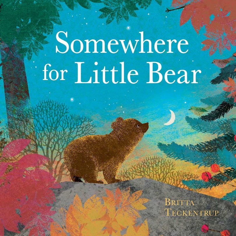 Couverture_Somewhere for Little Bear