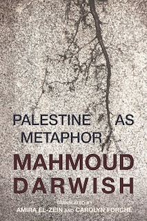 Couverture_Palestine As Metaphor