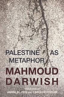 Palestine As Metaphor