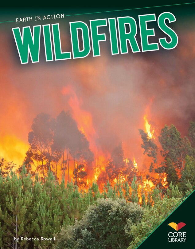 Couverture_Wildfires