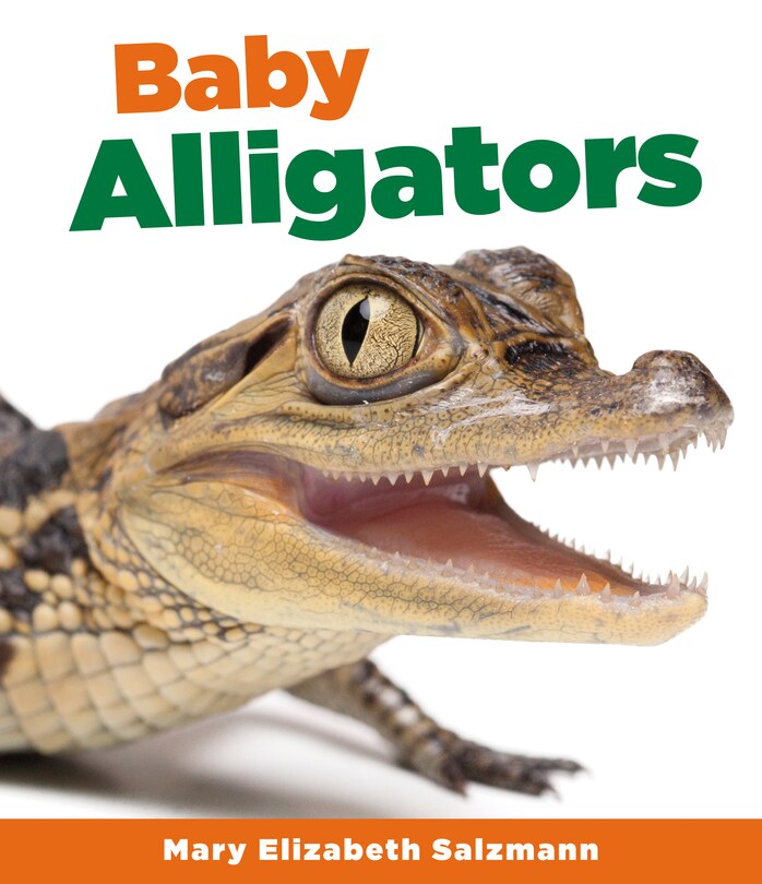 Couverture_Baby Alligators