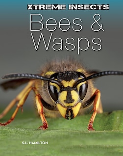Couverture_Bees & Wasps