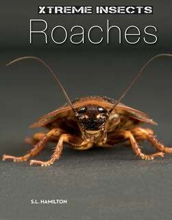 Couverture_Roaches