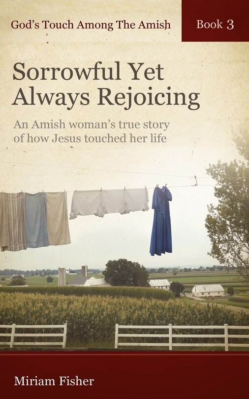 Front cover_God's Touch Among The Amish Book 3