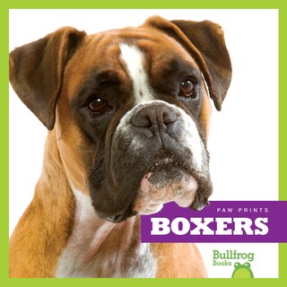 Couverture_Boxers