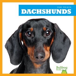 Couverture_Dachshunds