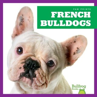 Couverture_French Bulldogs