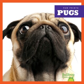 Couverture_Pugs