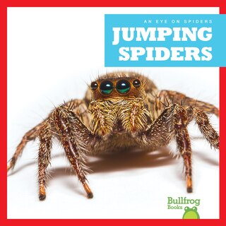 Couverture_Jumping Spiders