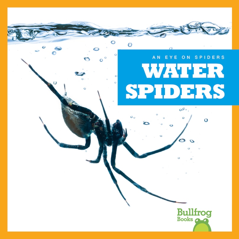 Couverture_Water Spiders