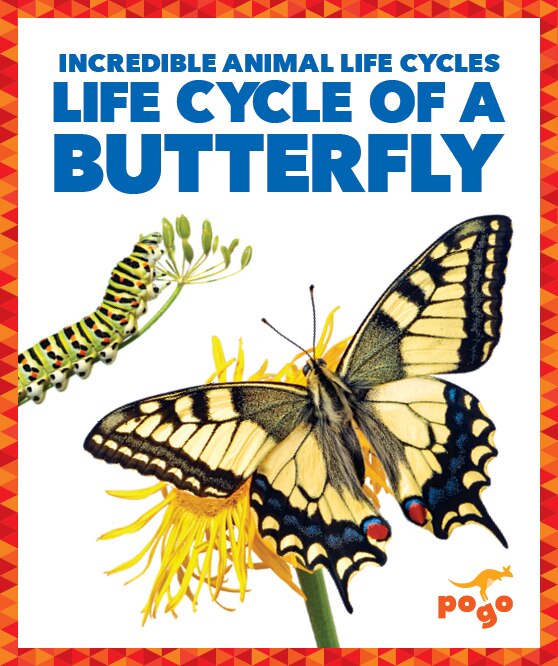Couverture_Life Cycle of a Butterfly