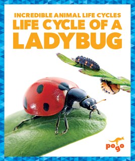 Front cover_Life Cycle of a Ladybug