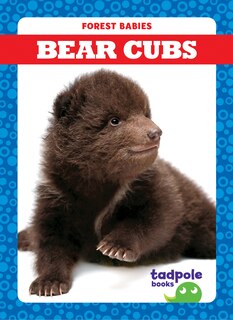 Couverture_Bear Cubs