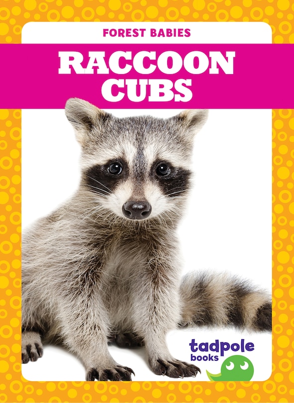Couverture_Raccoon Cubs