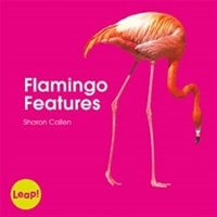 Flamingo Features