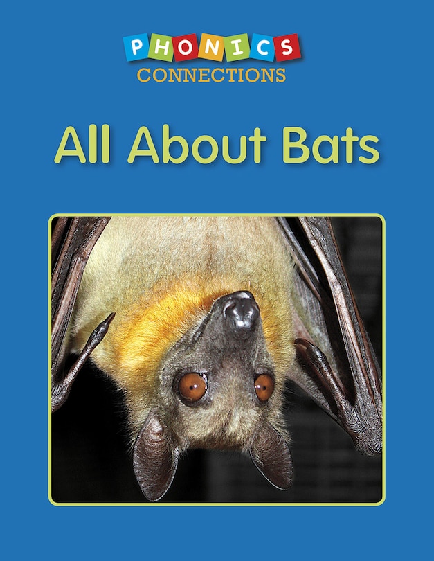Couverture_All About Bats