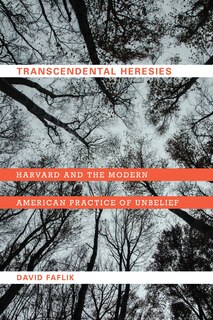 Couverture_Transcendental Heresies
