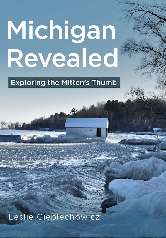 Front cover_Michigan Revealed