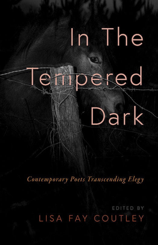 Front cover_In the Tempered Dark: Contemporary Poets Transcending Elegy