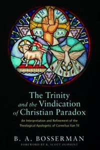Couverture_The Trinity and the Vindication of Christian Paradox