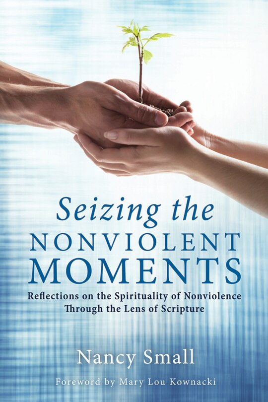 Couverture_Seizing the Nonviolent Moments