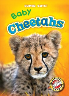 Couverture_Baby Cheetahs